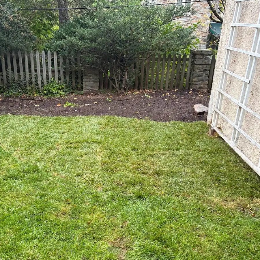 After: the same corner covered in lawn, with a mulched bed along the fence