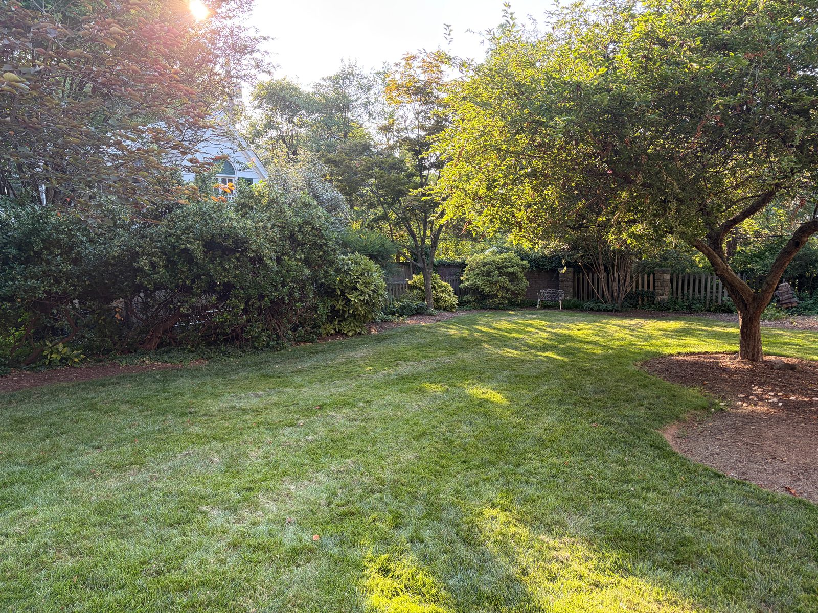 A backyard lawn mowed in stripes, with shrubs along the fence and a mulched bed around a tree