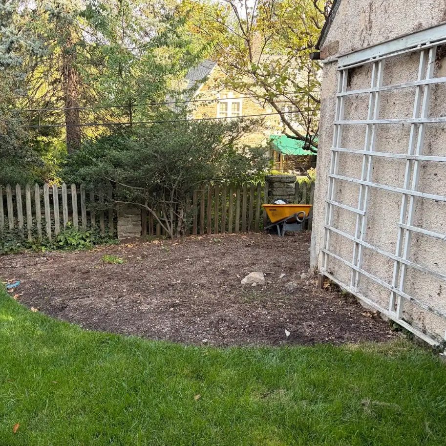 Before: bare soil between a wood fence and a white trellis wall, with a wheelbarrow by the fence