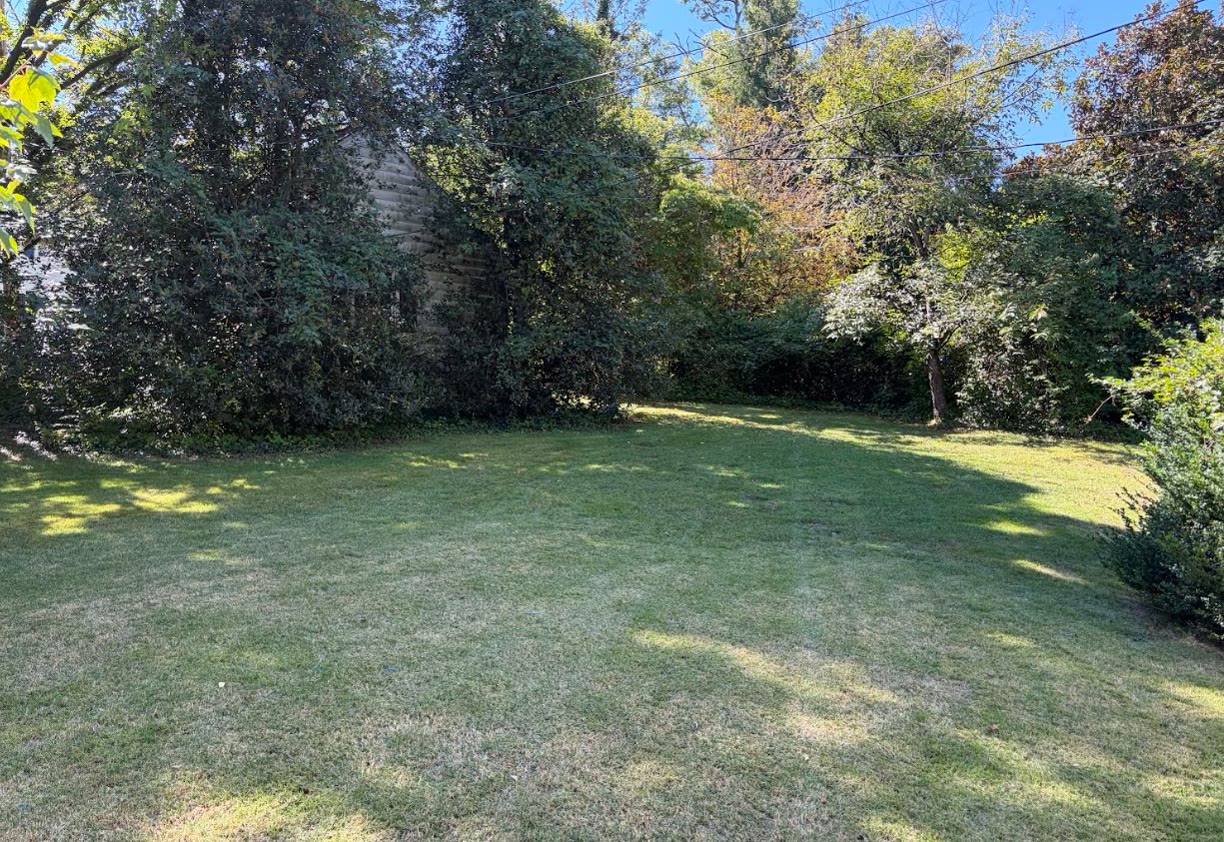 A broad, mowed residential lawn bordered by mature trees and shrubs